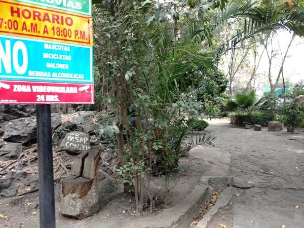 Imagen 52 Parque de los Novios foto