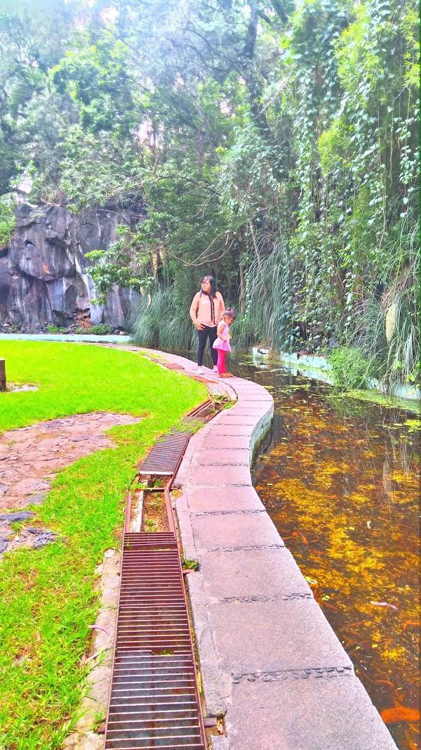 Imagen 66 Parque de los Novios foto