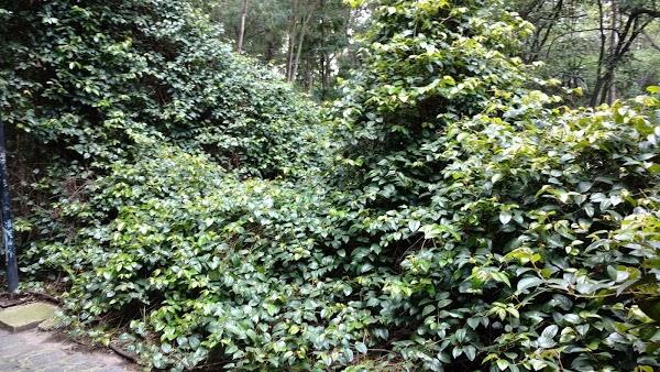Imagen 67 Parque de los Novios foto