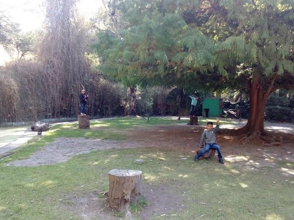 Imagen 69 Parque de los Novios foto