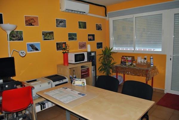 Imagen 7 Grace Panama foto