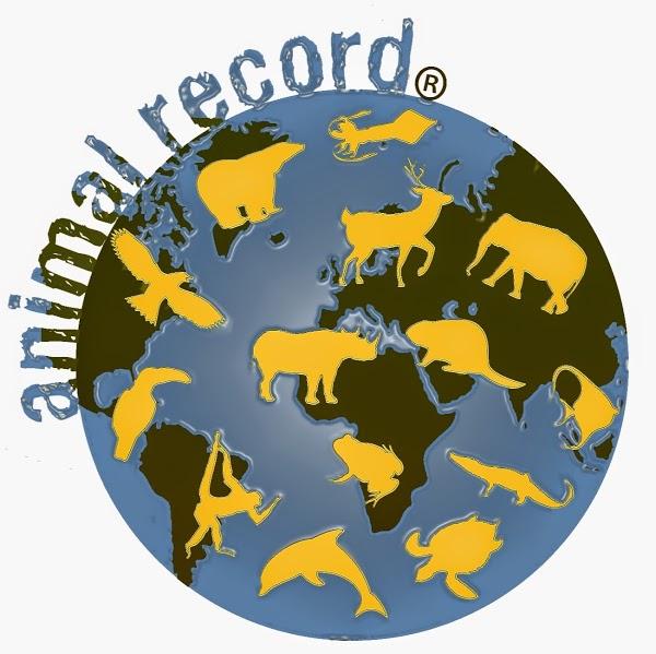 Imagen 8 Grace Panama foto