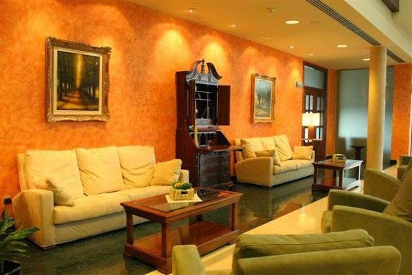 Imagen 8 OPTICALIA FLORIT foto