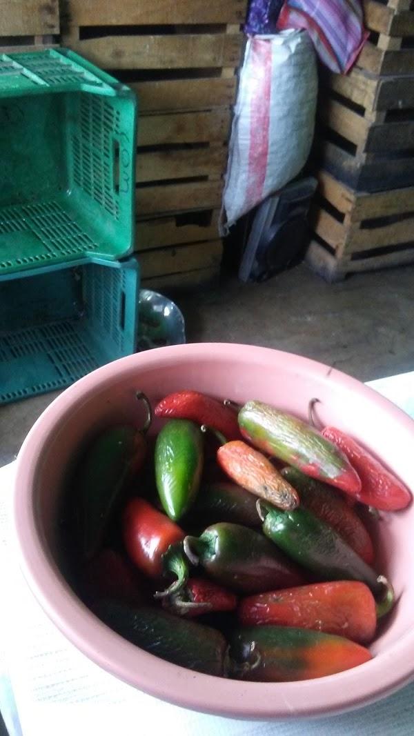 Imagen 58 Uniformes y Artículos Militares foto