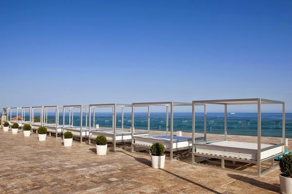 Imagen 105 Miguelito Coyoacan foto