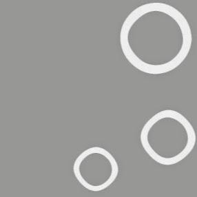 Imagen 21 Miguelito Coyoacan foto