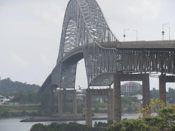 Imagen 8 Andamios y Escaleras de Occidente foto
