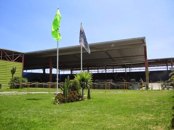 Imagen 1 Savills Battersea foto