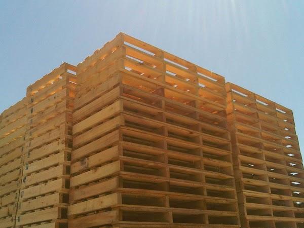 Imagen 13 González Elizalde Odontólogos - G.E.O. Clínica Dental foto