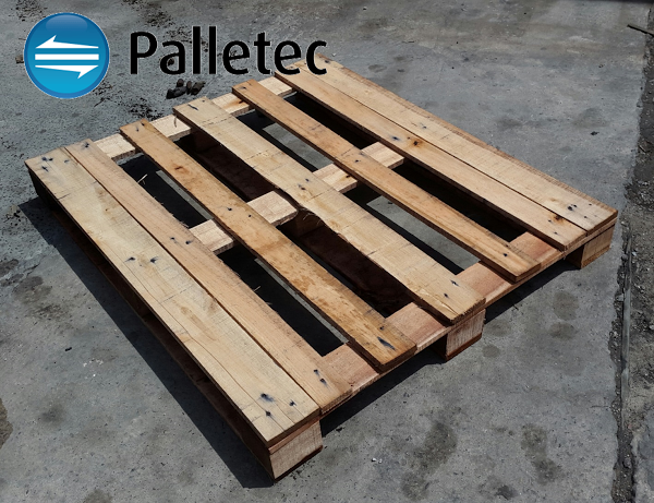 Imagen 5 González Elizalde Odontólogos - G.E.O. Clínica Dental foto