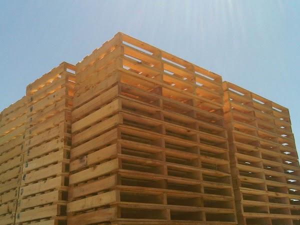 Imagen 8 González Elizalde Odontólogos - G.E.O. Clínica Dental foto