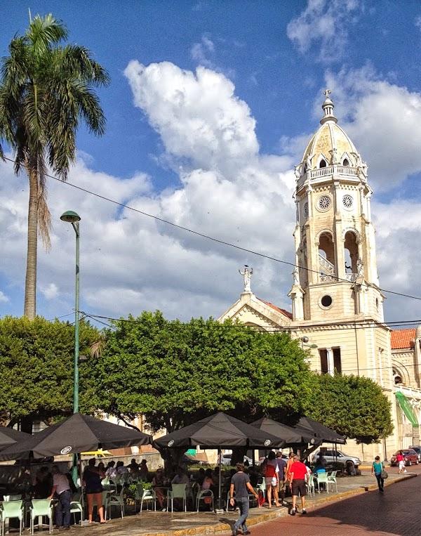 Imagen 17 ALI - CURA® foto