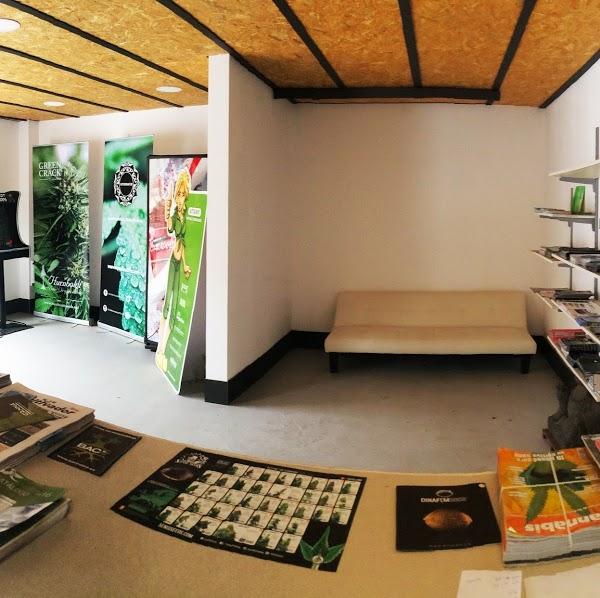 Imagen 47 Club Esportiu Metasports foto