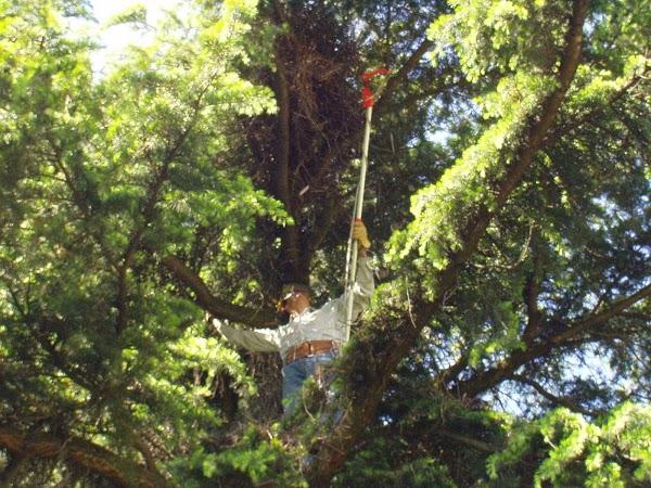 Imagen 2 Pizza Hut foto