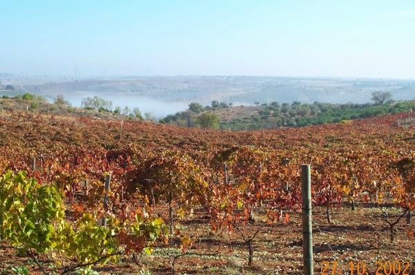 Imagen 15 Pizza Hut foto