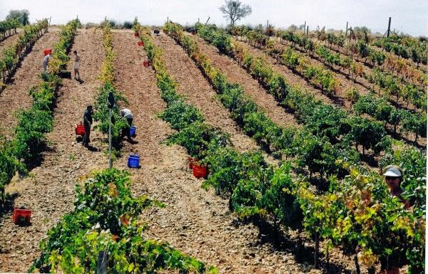 Imagen 4 Pizza Hut foto