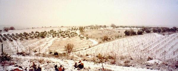 Imagen 6 Pizza Hut foto