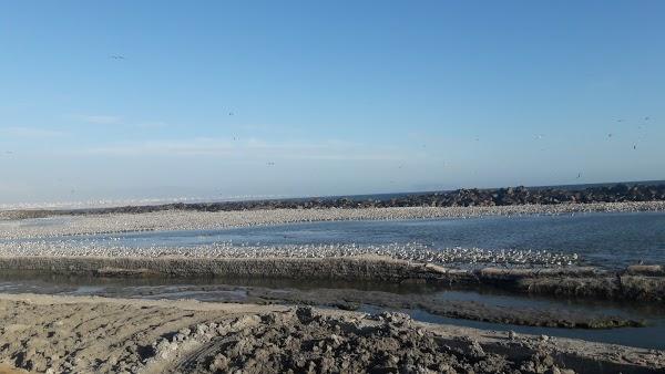 Imagen 105 Campoy e hijos foto