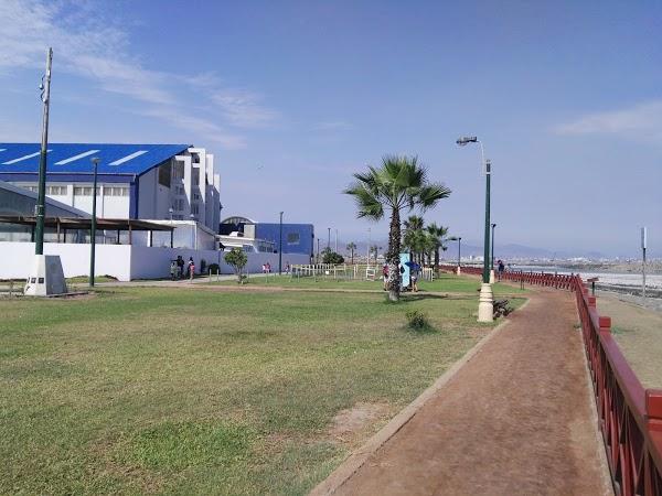 Imagen 115 Campoy e hijos foto