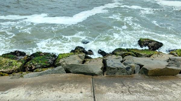 Imagen 118 Campoy e hijos foto