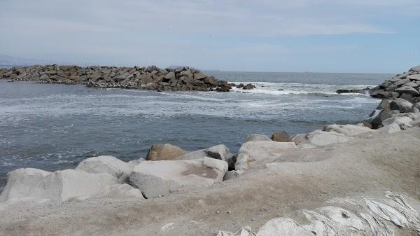 Imagen 119 Campoy e hijos foto