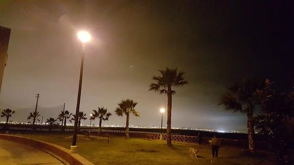 Imagen 63 Campoy e hijos foto