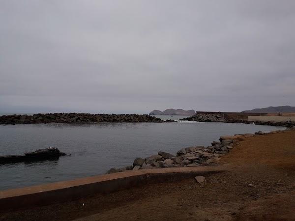 Imagen 65 Campoy e hijos foto