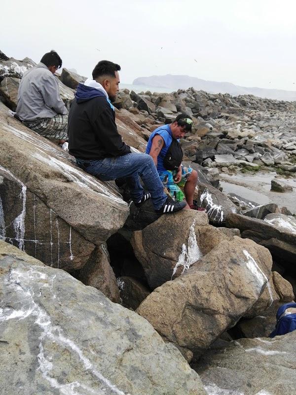 Imagen 74 Campoy e hijos foto