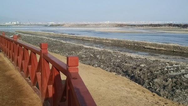 Imagen 89 Campoy e hijos foto