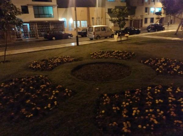 Imagen 92 Campoy e hijos foto