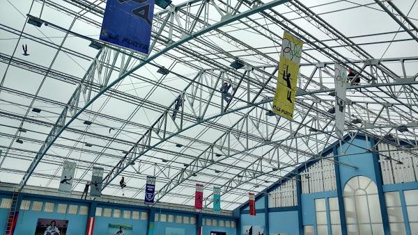 Imagen 94 Campoy e hijos foto