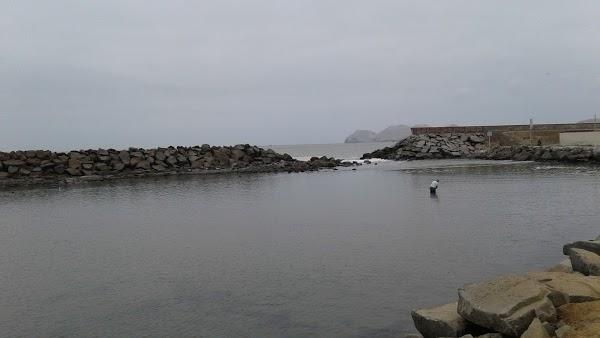 Imagen 99 Campoy e hijos foto