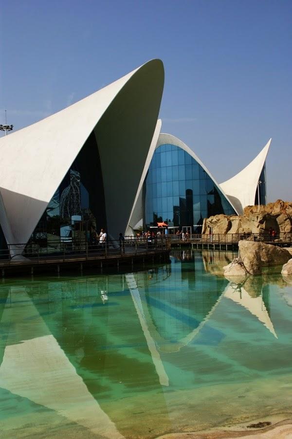 Imagen 11 BLANCO ASESORES foto