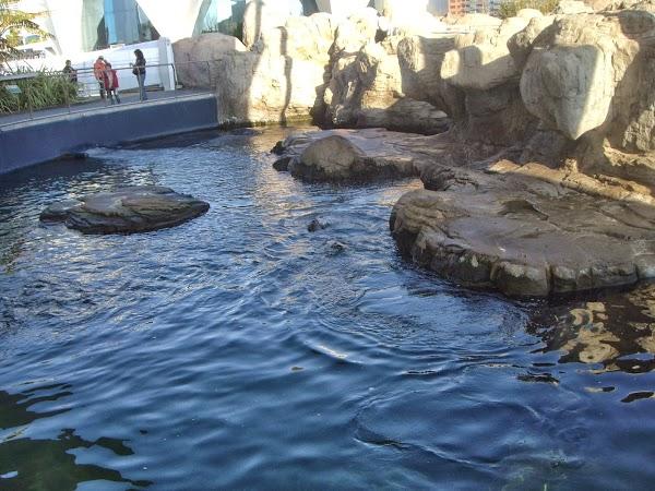 Imagen 12 BLANCO ASESORES foto