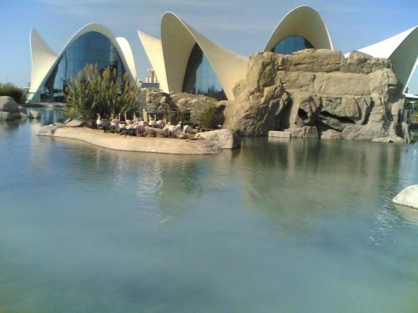 Imagen 13 BLANCO ASESORES foto