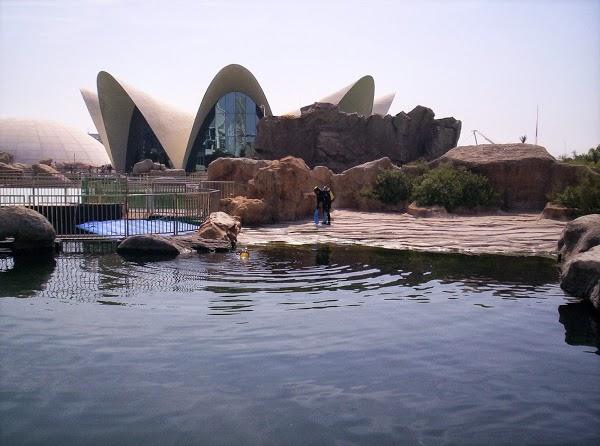 Imagen 15 BLANCO ASESORES foto