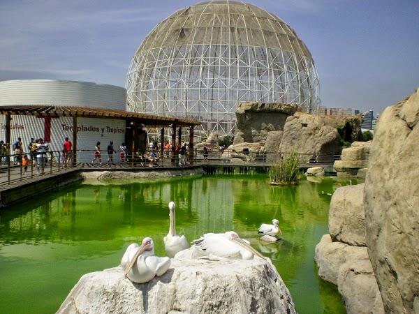 Imagen 16 BLANCO ASESORES foto