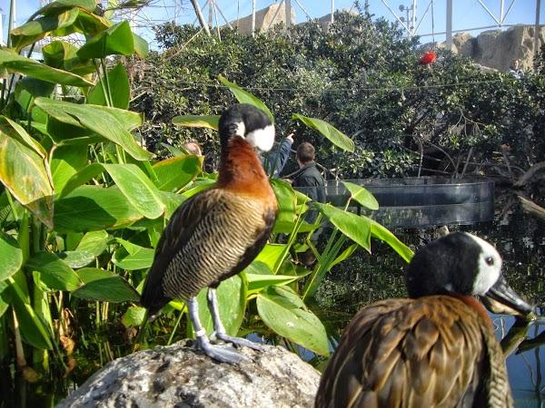 Imagen 18 BLANCO ASESORES foto