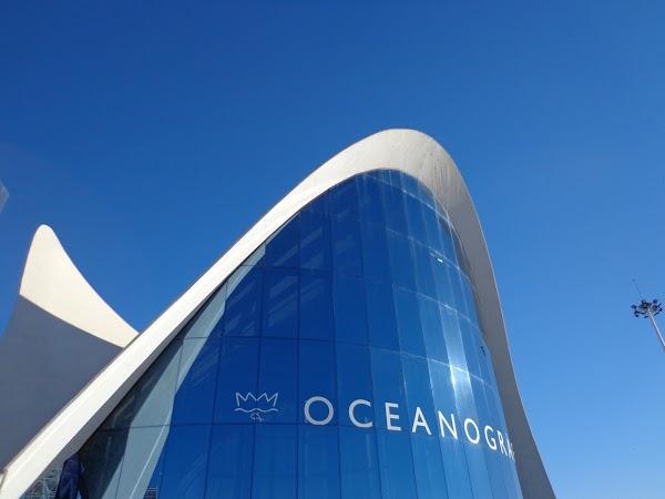 Imagen 19 BLANCO ASESORES foto