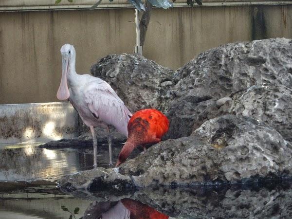 Imagen 20 BLANCO ASESORES foto