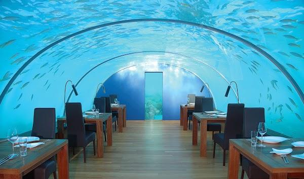 Imagen 50 Restaurante Submarino L'Oceanografic foto