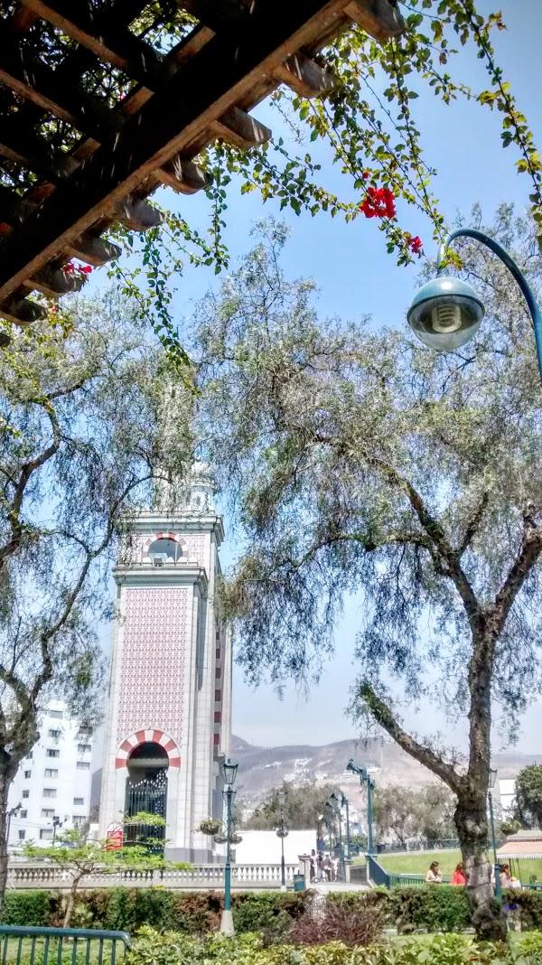 Imagen 8 BLANCO ASESORES foto