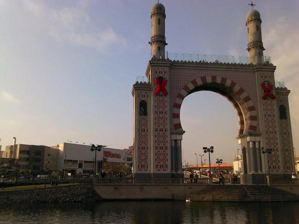 Imagen 9 BLANCO ASESORES foto