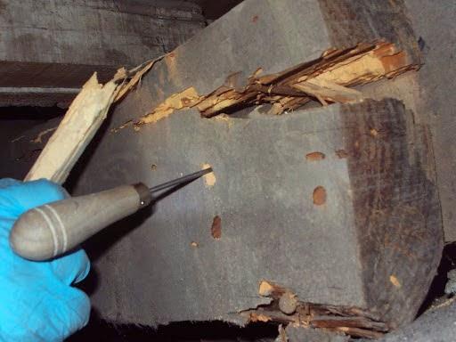 Imagen 9 Gold's Gym foto