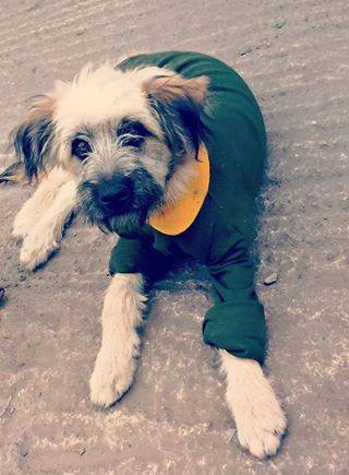 Imagen 1 Tienda Doña Basilia foto