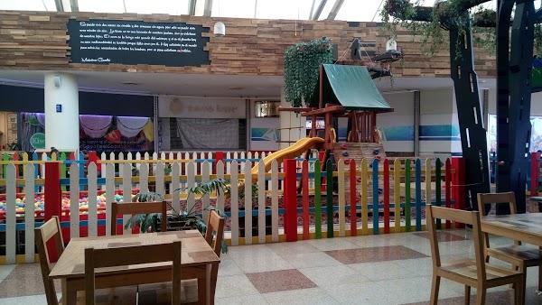 Imagen 23 Tienda Doña Basilia foto