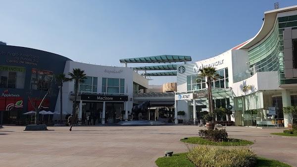 Imagen 26 Tienda Doña Basilia foto