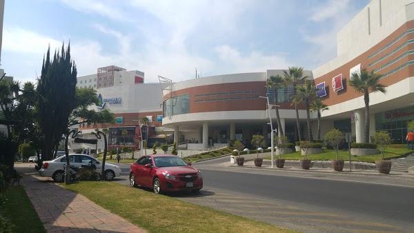 Imagen 28 Tienda Doña Basilia foto