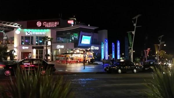 Imagen 29 Tienda Doña Basilia foto