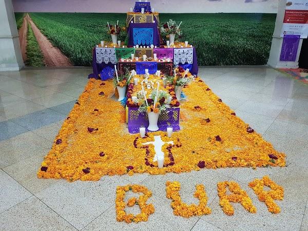 Imagen 31 Tienda Doña Basilia foto